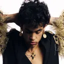 Edwin Honoret