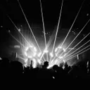Bad Bunny Night - Tribute