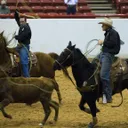 Red Steagall Cowboy Gathering & Western Swing Festival
