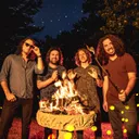 Pigeons Playing Ping Pong