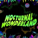 Nocturnal Wonderland
