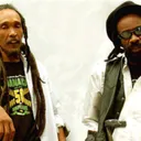 Israel Vibration