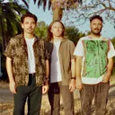 Local Natives