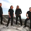 Cattle Decapitation