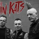 Koffin Kats