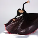 La Jolla Music Society