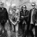 Nitty Gritty Dirt Band