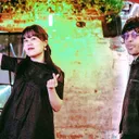 Chinese American Bear