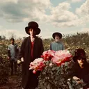 The Tear Garden