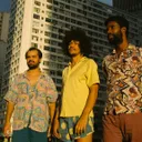 Boogarins