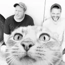 Off with Their Heads