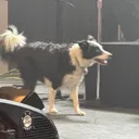 Knitting Factory - Spokane (17AJvZ)