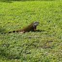 The Fillmore Miami Beach at Jackie Gleason Theater