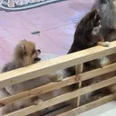 MCC Hall-The Mall Lifestore Bangkapi