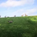 Parc floral de Paris