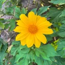 Barbara B. Mann Performing Arts Hall