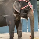 Allen County War Memorial Coliseum