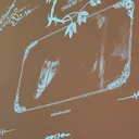 Tobin Center for the Performing Arts