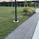 The Youngstown Foundation Amphitheatre