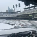 Comerica Park