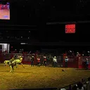 The Liacouras Center